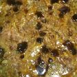 青ネギ大量消費!ネギ焼き