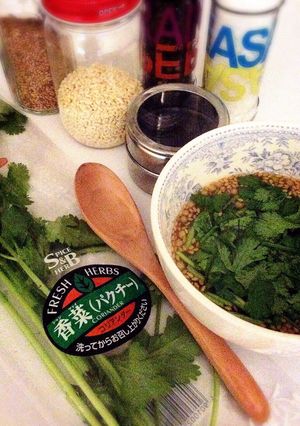 パクチー鶏ガラスープ-レシピのメイン写真