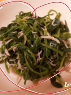 ほうれん草とジャコのおひたし-レシピのメイン写真
