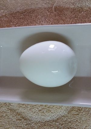 ゆで卵-レシピのメイン写真