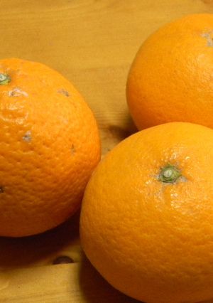 オレンジの切り方-レシピのメイン写真