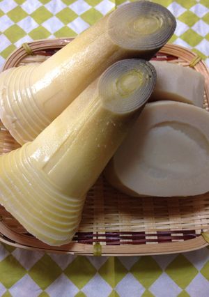 筍を茹でる-レシピのメイン写真