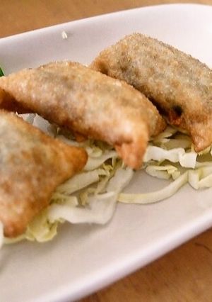 餃子の皮で春巻き-レシピのメイン写真