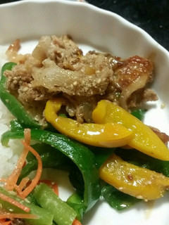豚肉ピーマンの味噌炒め-レシピのメイン写真