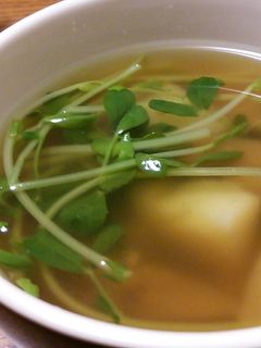 豆苗のスープ♪-レシピのメイン写真
