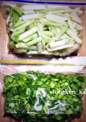 簡単カット野菜 長ねぎの冷凍食品保存-レシピのメイン写真