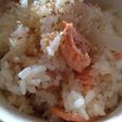 家の食材で☆簡単シャケご飯