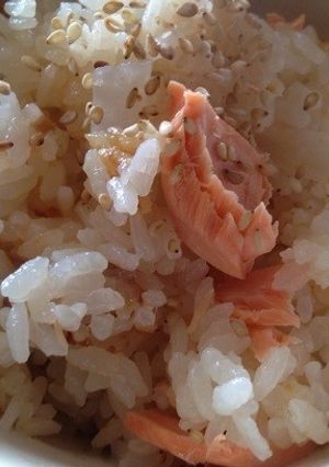 家の食材で☆簡単シャケご飯-レシピのメイン写真