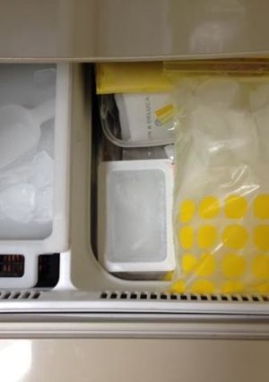 製氷機能を充分活かす！　氷の保存法-レシピのメイン写真
