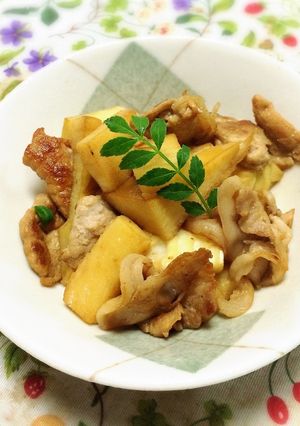 腎臓にやさしい:竹の子と豚肉の炒め物-レシピのメイン写真