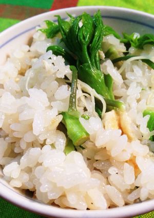 こしあぶらご飯 Part2-レシピのメイン写真