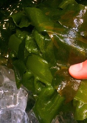 生わかめ人気検索NO.1♚茹で方と食べ方-レシピのメイン写真