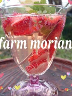 農園レシピ・いちごのレモンソーダ水-レシピのメイン写真