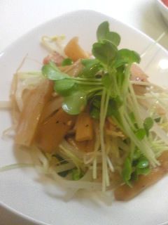 もやしとメンマと焼豚と…-レシピのメイン写真
