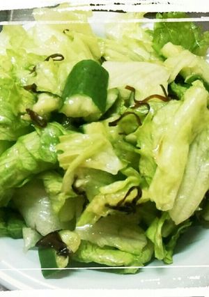 レタスとたたきキュウリの塩昆布サラダ-レシピのメイン写真