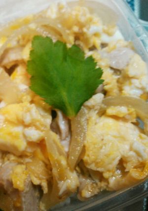 簡単お手軽親子丼-レシピのメイン写真