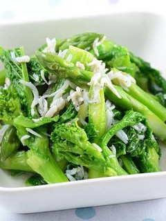 春野菜とちりめんの梅こんぶ茶マリネ-レシピのメイン写真