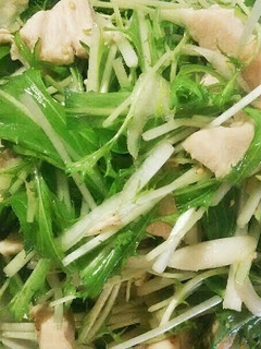 水菜と鶏肉のネギ塩サラダ-レシピのメイン写真