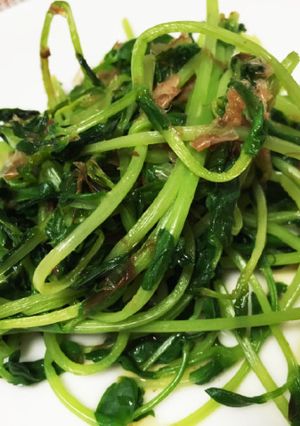 あっという間にできる豆苗炒め-レシピのメイン写真