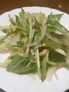簡単!水菜と新玉ねぎのサラダ-レシピのメイン写真