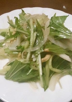 簡単!水菜と新玉ねぎのサラダ-レシピのメイン写真