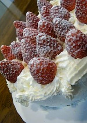 クリスマスケーキ2006-レシピのメイン写真