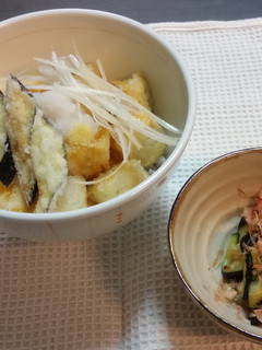 揚げ出し豆腐丼-レシピのメイン写真