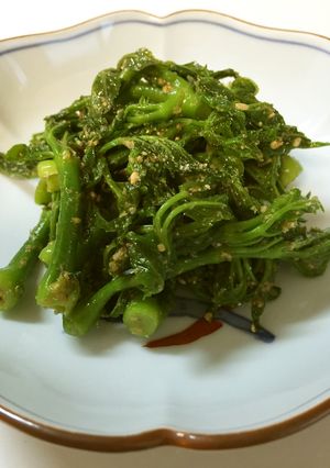 タラの芽のごま和え☆-レシピのメイン写真