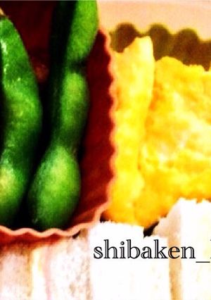 簡単お弁当レンジダイエット卵焼きオムレツ-レシピのメイン写真