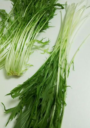 野菜が長持ち新鮮♪冷蔵庫で出来る保存方法-レシピのメイン写真