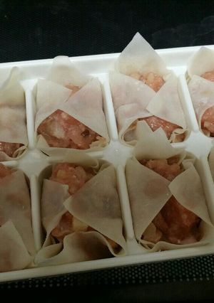 簡単!製氷器でシュウマイを包む✩-レシピのメイン写真