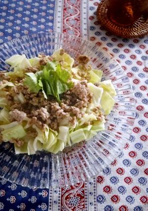 簡単＊キャベツとそぼろのアジアンサラダ＊-レシピのメイン写真