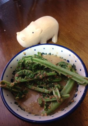 簡単♪おいしいこごみのマヨ和え-レシピのメイン写真