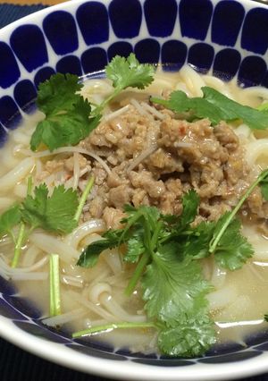 アジアン肉うどん-レシピのメイン写真