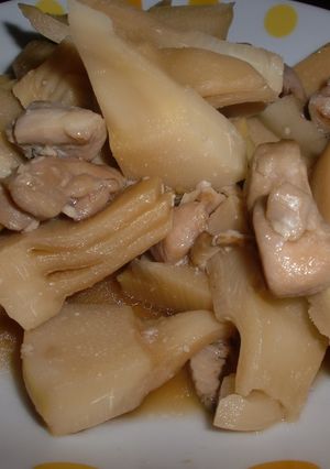 旬たけのこと塩麹鳥もも肉の煮込み-レシピのメイン写真