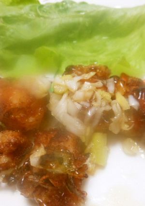 ユーリンチー風甘だれあん　私流簡単-レシピのメイン写真