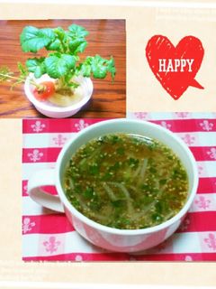 大根葉っぱ育てて♡ラーメン風もやしスープ-レシピのメイン写真