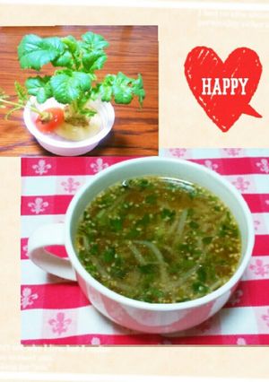 大根葉っぱ育てて♡ラーメン風もやしスープ-レシピのメイン写真