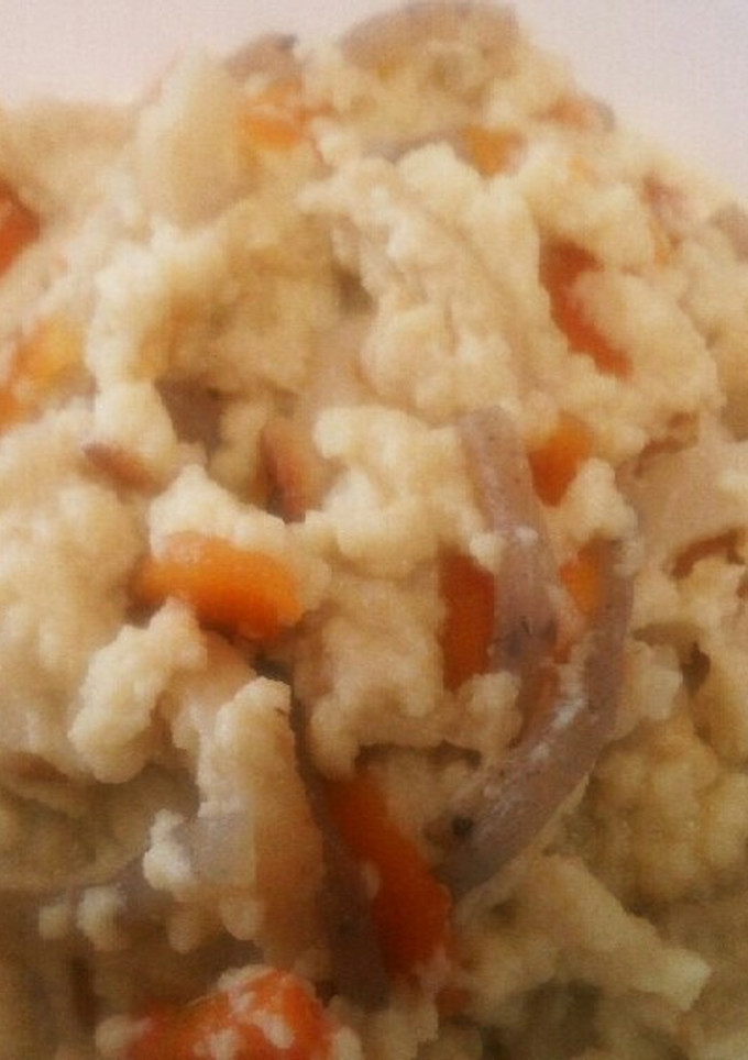 とろける高野豆腐煮を使って♪★おから風★-レシピのメイン写真