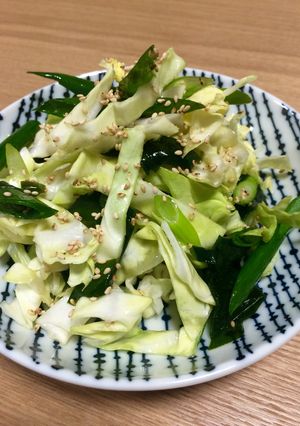 春キャベツと万能ねぎのおつまみサラダ-レシピのメイン写真