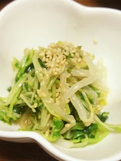 おつまみに!豆苗ともやしのナムル**-レシピのメイン写真