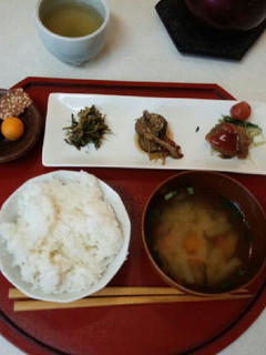 血管プラークダイエット食269(野草)-レシピのメイン写真