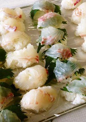 桜鯛の寿司-レシピのメイン写真