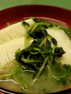 筍と豆苗の味噌汁♪-レシピのメイン写真
