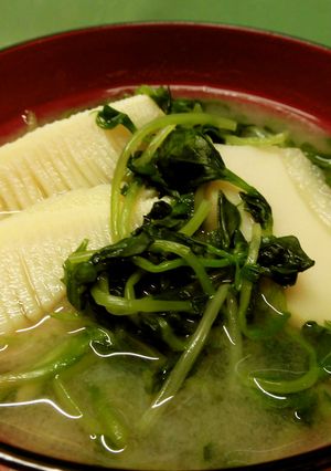 筍と豆苗の味噌汁♪-レシピのメイン写真