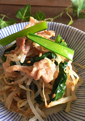 節約＊もやしと豚こま肉のおかずナムル-レシピのメイン写真