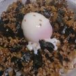 タケノコ丼