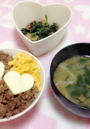 ２色＊そぼろごはん-レシピのメイン写真