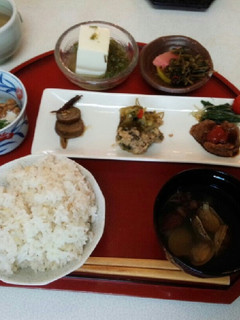 血管プラークダイエット食271(キンピラ-レシピのメイン写真