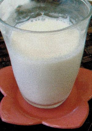 酵素が取れる天然酵母豆乳ドリンク-レシピのメイン写真
